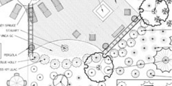 services-design-build