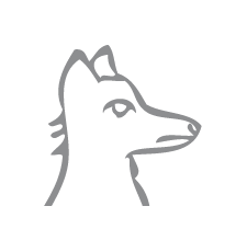 Blue Fox Landscape Design logo favicon