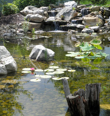 A decorative residential lily pond featuring boulders stones and a gently trickling waterfall