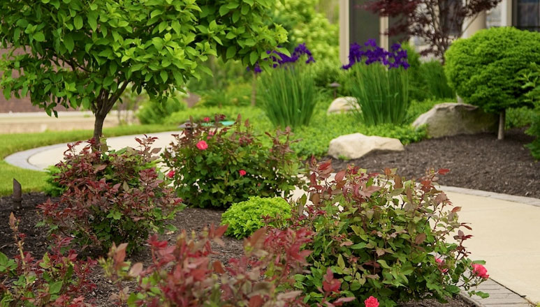 A thoughtfully designed landscape bed in a residential front yard