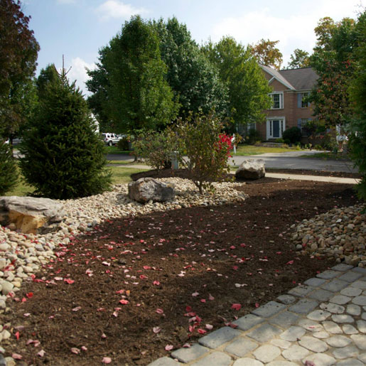 A residential planting bed filled with mulch and covered with fresh fall leaves